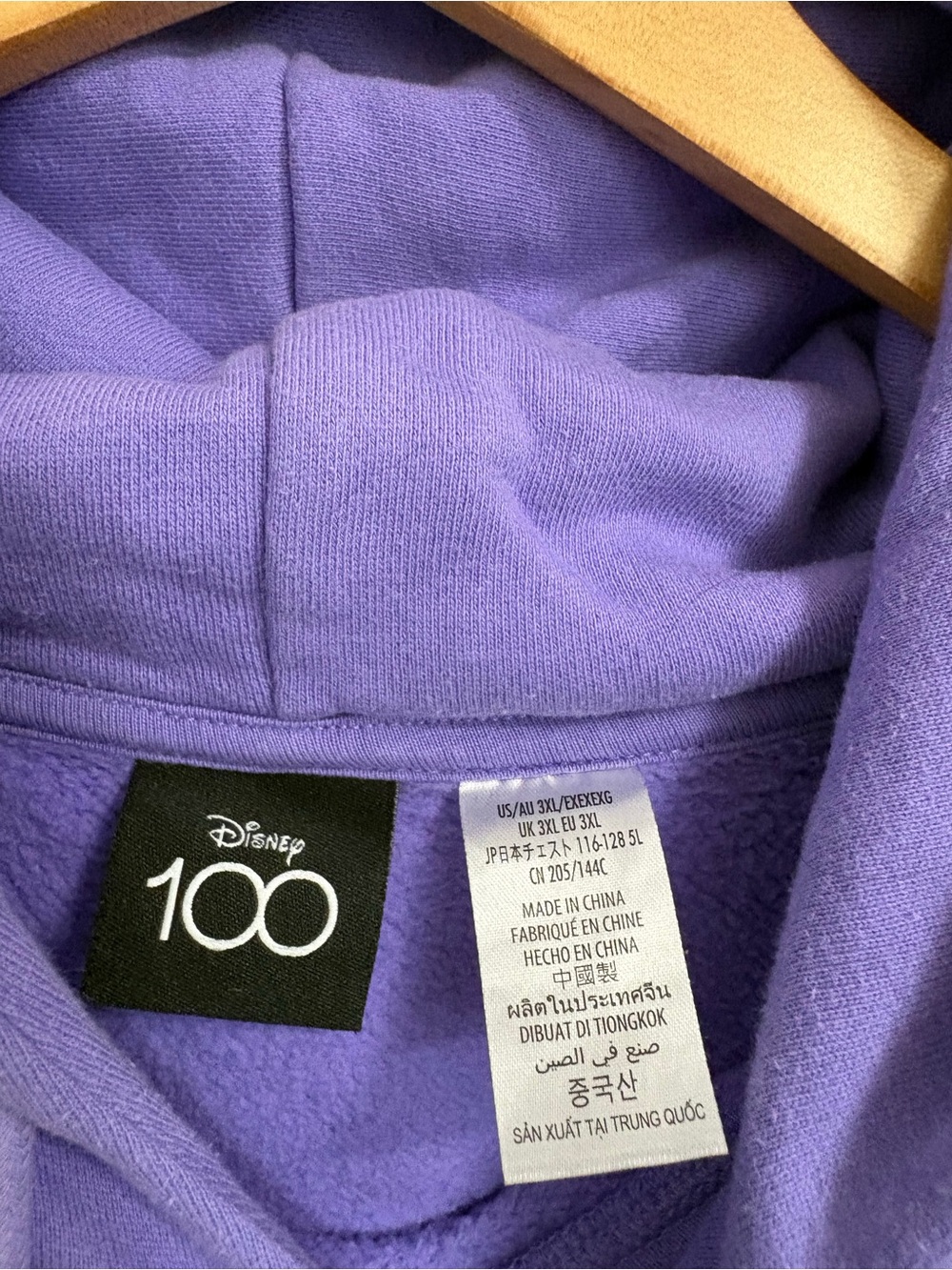 Viral Disneyland Purple Hoodie - Size XXL - Picture 3 of 3